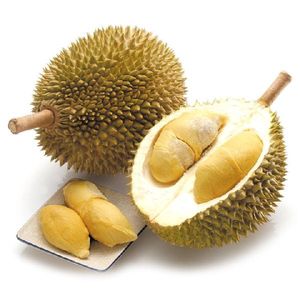 VENTA CALIENTE DURIAN CONGELADO // MEJOR PRECIO DE EN VIET NAM - Product Image 4