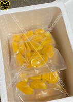 IQF 100% natuurlijk diepvries jackfruit, hoogwaardige reepjes, halfgesneden pulp met/zwijmende vruchten, bulk vacuüm verpakt, Vietnam oorsprong
