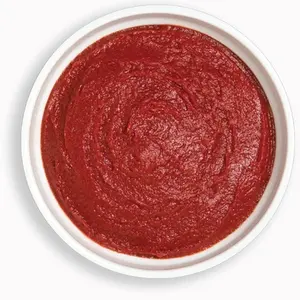 Fabricant de pâte de tomate Double concentré 28-30% Ketchup en pâte de tomate
