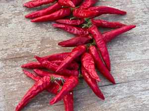 การส่งออกเวียดนามของผลไม้แช่แข็งพริกแดงร้อน100% ในราคาที่ดีที่สุด - Product Image 4