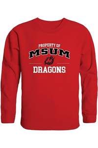 Vêtements de rue de haute qualité, sweat à capuche surdimensionné en gros vêtements de mode pour hommes sweats vierges à capuche en coton pull personnalisé OEM - Product Image 4