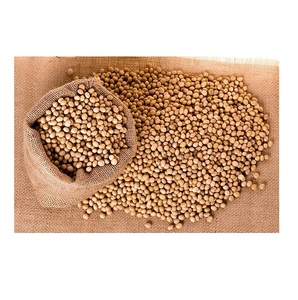 Soja canadien biologique 100 % pur et naturel / Grains de soja séchés au meilleur prix de gros - Product Image 2