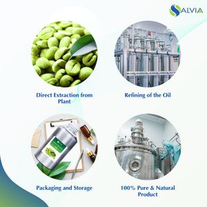 Huile de grain de café vert 100% pur et naturel en gros en vrac prix le plus bas emballage personnalisé - Product Image 4
