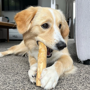 Juguete para masticar perros de madera de café no tóxico/cero calorías, duradero y seguro para su mascota/Sra. Jessi - Product Image 4