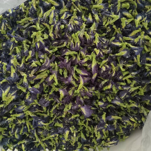 Venta caliente nueva cosecha té de flor de guisante de mariposa seca Venta caliente barato fabricante de flor de guisante de mariposa seca té de flor - Product Image 3