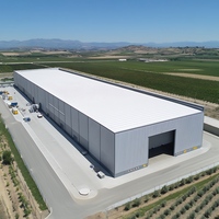 Abri de voiture en acier léger à montage rapide, taille personnalisée, structure métallique préfabriquée pour parking