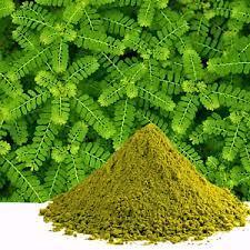 สารสกัดจากชานก้าปิเอตรา ผงบูมิอัมลา ผลิตภัณฑ์ธรรมชาติสำหรับทำความสะอาดไต บำรุงตับและระบบทางเดินปัสสาวะ สมุนไพรเสริมอาหาร ช่วยขจัดก้อนใน - Product Image 2