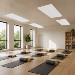 Panneau chauffant infrarouge pour yoga, compact, protection contre la surchauffe, température de studio de 35/45 degrés - Product Image 4