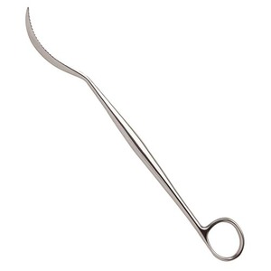 LANE 255mm Bone Levers Manufacturer Supplier Wholesale Price Stainless Steel by GRAYROCKS ENTERPRISES Made in Pakistan - Product Image 1