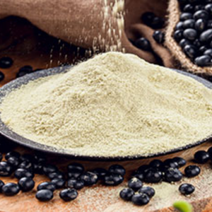 Poudre de haricots noirs polyvalente pour la cuisine domestique et les applications industrielles dans le monde entier - Product Image 6