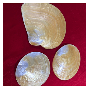 Plateau en nacre véritable, plat en coquille de nacre pour porte-bague, rangement de clés et organisateur de coiffeuse, fabriqué au Vietnam - Product Image 5