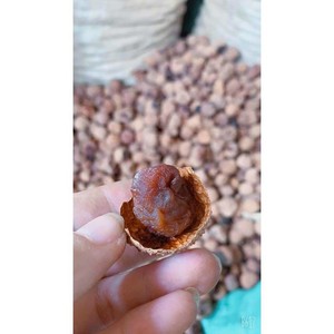 ลิ้นจี่แห้ง 100% คุณภาพสูงและราคาถูกจากเวียดนามขายส่งลิ้นจี่แห้ง - Product Image 3