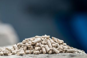 Mejor Bagazo de Caña de Azúcar para Pulpa de Embalaje Ecológica, Residuos Agrícolas, Bagazo de Caña de Azúcar Seco y Fermentado para Alimento de Ganado - Product Image 6