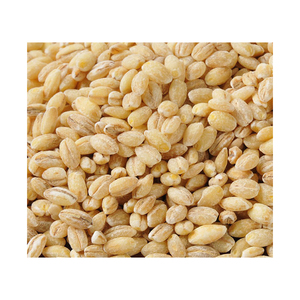 Stock al por mayor de grano de cebada disponible para los mercados internacionales - Product Image 6