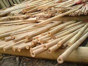 Wholesale Bamboo <b>Poles</b> <b>for</b> Construction & Building Materials - Natural Strong Straight Bamboo <b>Pole</b> <b>Gardening</b> Free Tax - Product Image 3