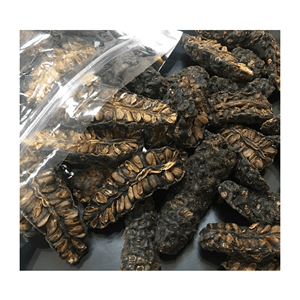 SECADO DE FRUTAS NONI DE VIETNAM/MEJOR CALIDAD/VENTA COMPLETA FRUTAS SECAS NONI CON PRECIO COMPETITIVO DESDE 99 DATOS DE ORO - Product Image 2