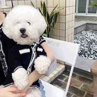 Mimi marque de luxe biologique haut de gamme écologique coton biologique haute qualité animal de compagnie automne hiver chien chat vêtements pour chiens