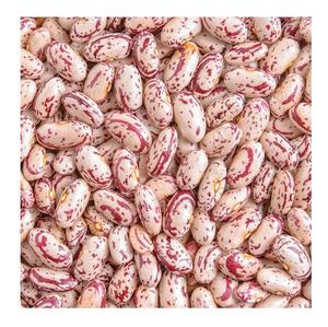 ถั่วแดงประกาย - Product Image 2