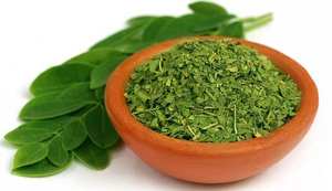 High Quality 100% Natural Moringa Oleifera Leaves Moringa Dried Leaf Tea - Product Image 4