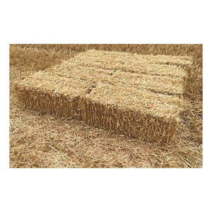 ฟางข้าวบาร์เลย์คุณภาพสูงกระจายสินค้าส่งออกจำนวนมากพร้อมส่งราคาประหยัด - Product Image 4