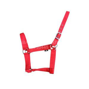 Licol pour cheval en nylon réglable haute résistance avec rembourrage doux, boucles robustes, couleurs personnalisées disponibles |   Quincaillerie noire - Product Image 2