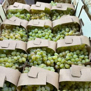 Raisins frais sans pépins de qualité supérieure, couleur verte/jaune, taille 20-28 mm, carton de 5 kg - Product Image 5