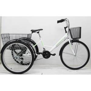 Bicicleta de Carga Eléctrica Dorello 2960 con Canasta Grande, 18 Velocidades, Capacidad de Carga de 100 kg, Cuadro Totalmente Amortiguado para Transporte en Carretera - Product Image 1