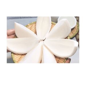 เนื้อมะพร้าวอบแห้งแบบนิ่มเนื้อมะพร้าวธรรมชาติจากเวียดนาม - Product Image 6