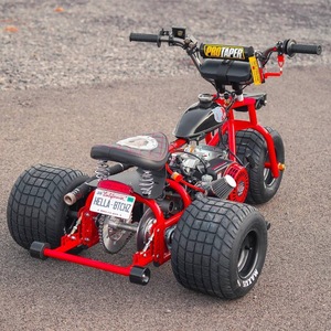 Mini-tricycle haut de gamme haute performance, livraison rapide, design audacieux, motorisé 800W 60V, 3 roues, ouvert pour passagers, Betty TGV - Product Image 3