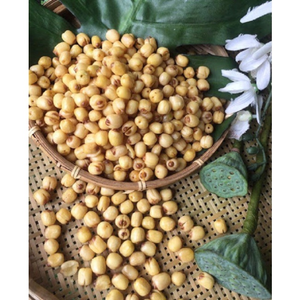 Lutus เมล็ดพันธุ์ที่มีคุณภาพสำหรับสวนทุกสไตล์คว้าของคุณวันนี้ในราคาที่สุดยอด - Product Image 5