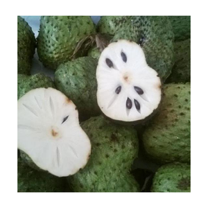 SOURSOP CONGELÉ EST UN BON PRIX AVEC UNE QUALITÉ STANDARD - Product Image 4