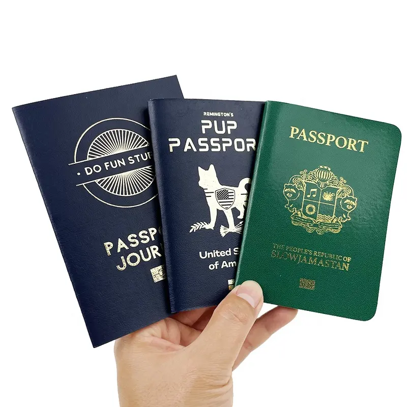 Promotion d'impression de brochure de livret de passeport personnalisé usine d'impression offset bon marché