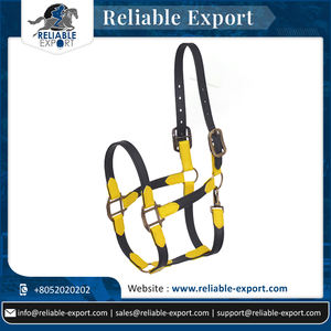 Licou cheval en PVC de bonne qualité, équipement équitation étanche, licou cheval disponible au prix de gros - Product Image 2