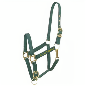 Nouvelles harnais équestres en nylon réglables et faciles à utiliser, équipement d'équitation avec attaches à fermoir dorées - Product Image 2