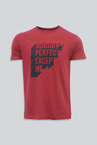 Vente en gros T-shirt léger imprimé de qualité supérieure pour hommes Conception personnalisée Impression couleur Logo graphique T-shirts à sonnerie - Product Image 2