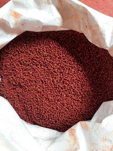 Dried Red Annatto Seeds Natural Colorant Granular Form for Food Oil Processing <b>Bulk</b> 25kg <b>Bag</b> Factory Price - Product Image 5