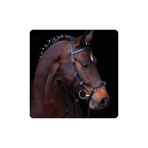 Micklem Multi Bitless Brida para Deportes Ecuestres Doma Anatómica Western Racing Horse Equipment Negro Marrón Cuero Todo - Product Image 1