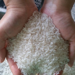 Precio competitivo Arroz blanco de grano largo Arroz de grano largo de buena calidad Fabricación de arroz Basmati - Product Image 3