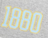 Pantalones cortos de gimnasio de cintura media para hombre de la Universidad del Sur A & M College, tela de malla de lana transpirable, botón con estampado de leopardo antiarrugas - Product Image 3