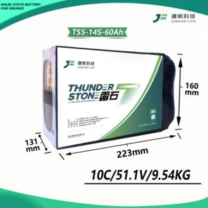 Batterie de drone de haute qualité : Thunder Stone TS5 Semi-Solid State, 14S 60000mAh, 340Wh/kg, décharge 10C, <span class=keywords><strong>classement</strong></span> supérieur - Product Image 3