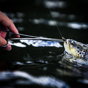 Pinces de pêche de qualité chirurgicale Finition Pinces de verrouillage polonaises Pinces de pêche droites en acier allemand Taille 6.3 pouces - Product Image 6