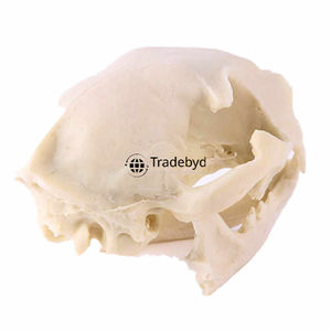 Estatua esculpida de animales de resina decorativa Tradebyd, figurita artística única para salas de estar modernas y compradores de regalos - Product Image 3