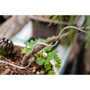 Bonsai Tree Training <b>Wire</b> Anodized <b>Aluminum</b> Gardening <b>Wire</b> Bonsai Musty Tools HANAKATSU <b>Aluminum</b> Bonsai <b>Wire</b> - Product Image 5