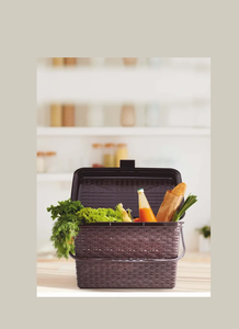 ตะกร้าจักรยานหลัง Anax สำหรับทุกเพศ  แบบเคลือบผงด้าน  แบบตาข่ายเต็ม  แบบตาข่ายครึ่ง  สำหรับใช้กับจักรยาน  คุณภาพพรีเมียม - Product Image 6