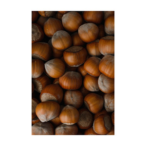 Noix de qualité supérieure en gros à vendre à prix avantageux - Product Image 4