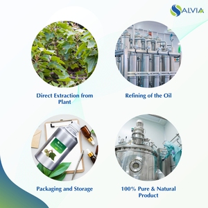 Huile de noix Kukui 100% pur et naturel en gros en vrac prix le plus bas emballage personnalisé - Product Image 4