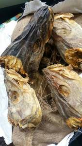 Seiche séchée entière en vrac – Approvisionnement en gros disponible dès maintenant - Product Image 4