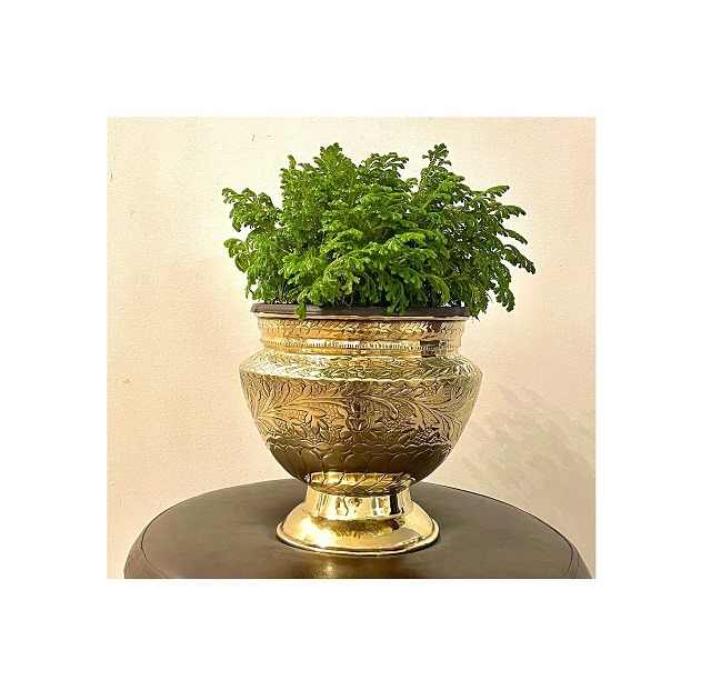 Antique Design Pure Aluminium Single Piece Planter for Garden and Balcony Decoration at Economical Rate