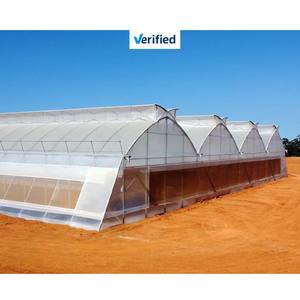 Теплица из оцинкованной стали с многопролетным поликарбонатным покрытием для сельского хозяйства, туннельная теплица для выращивания цветов и растений - Product Image 1