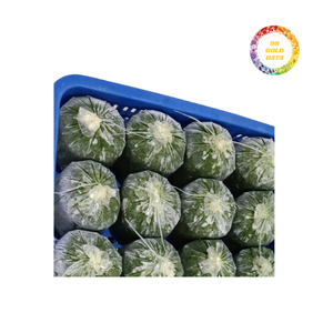 Hojas de yuca recién congeladas: gran calidad y precios asequibles para pedidos a granel - Product Image 5